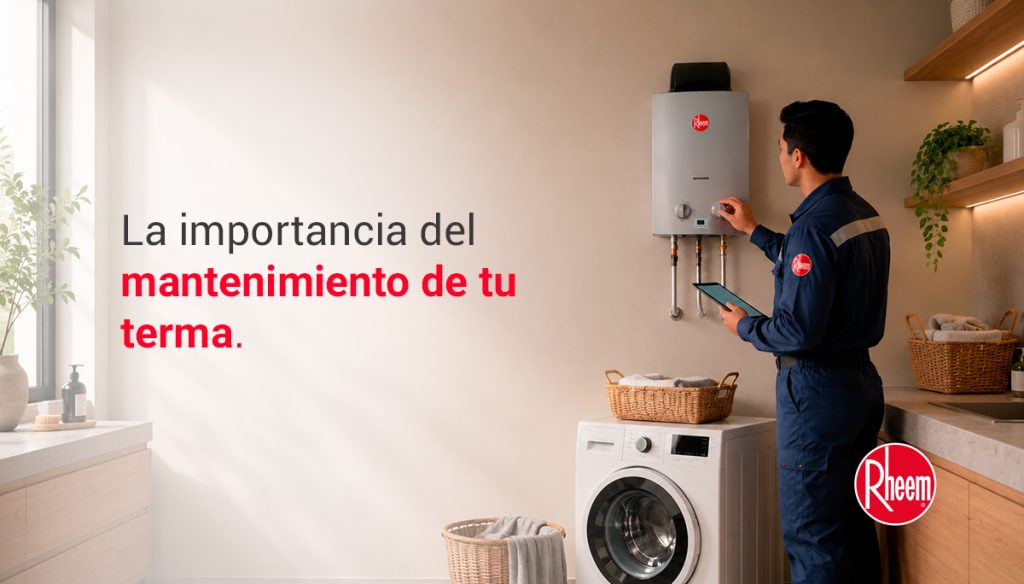 Mantenimiento preventivo termas Rheem