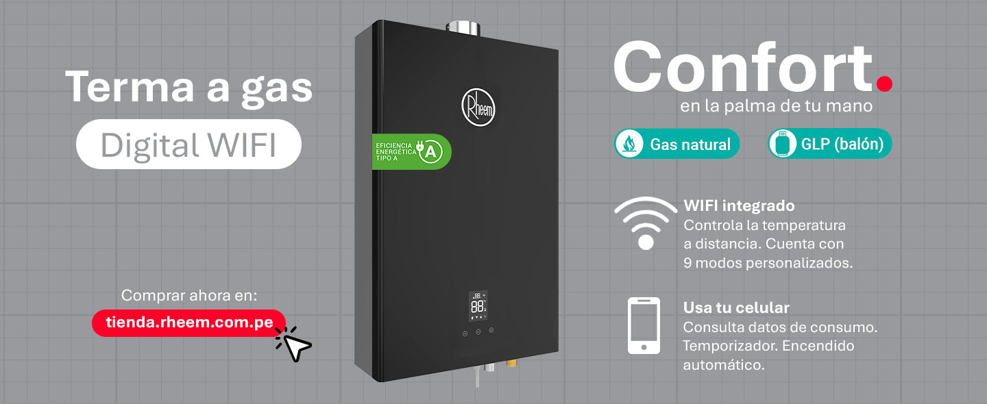 Producto Rheem Terma a Gas Digital